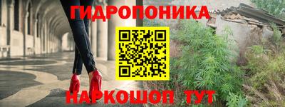 jwh Гай